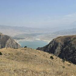 Papansee