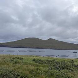 Salmon farm