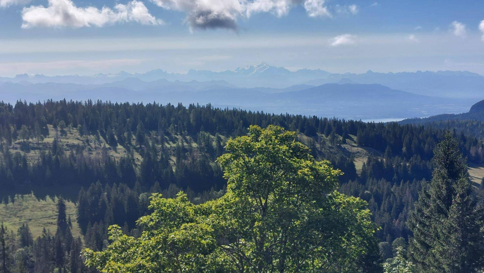 Udsigt fra Noirmont. Mont Blanc lige i midten!