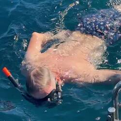 Nein, das ist Fredy, ein Crewmitglied, nicht ein gefüttertercFisch