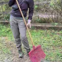 Ich muss noch üben. Vielleicht komme ich als Volunteer zurück?