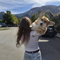 Eine Hunderunde mit Sir Alfred bitte 😜.