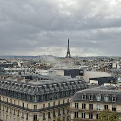 View from the roof