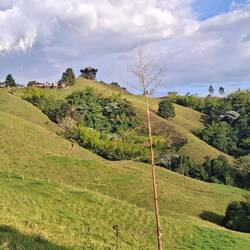 Blick vom Spazierweg von hinten auf den Aussichtsturm