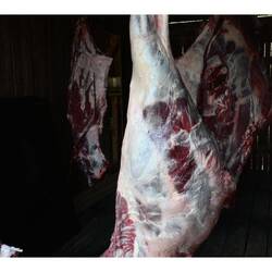 350 Kilogramm bestes Fleisch