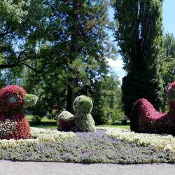 Blumentiere Enten