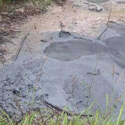 Blubbernder Mudpool