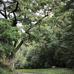 Plastikpark