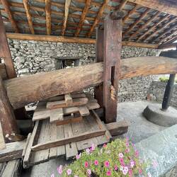 Wine press