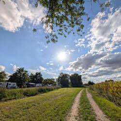 Unsere kleine Wanderung zum Restaurant