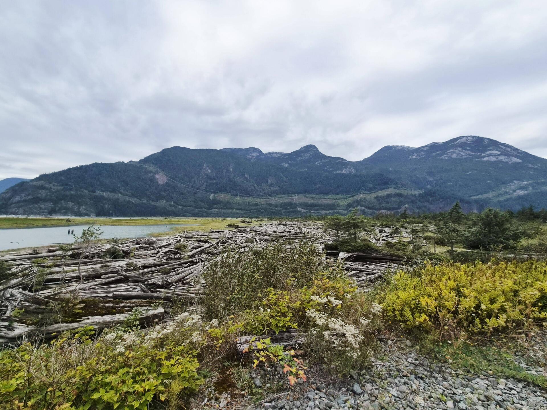 Ohhh, du wunderschönes Squamish.