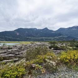 Ohhh, du wunderschönes Squamish.