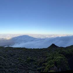 Im Schatten des Giganten