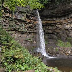 Hardraw Force
