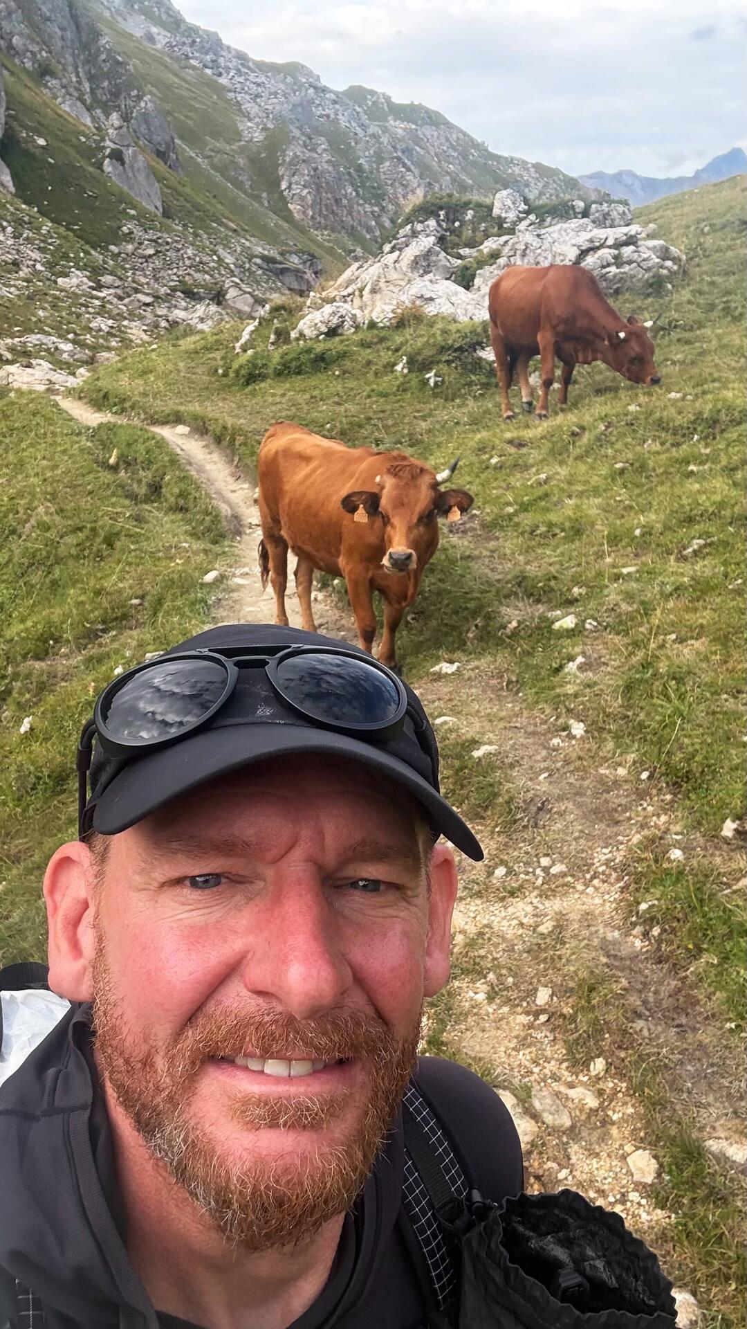 Die Bullen sind zum Glück entspannt