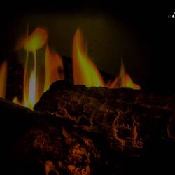 Fake or not, the digital flames and crackling sounds trick the mind and we feel warmer.