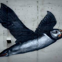 The puffin mural is part of the Amundsen and whale mural.