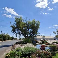 Winton Main street