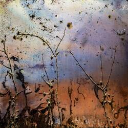 "Zeftland #8" by Hani Zurob — Mother Dough Exhibition.