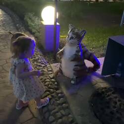 Jeden Abend der miau tschüssi sagen