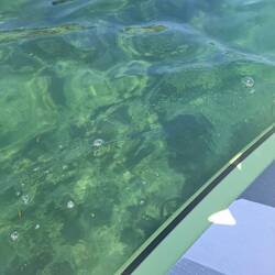Glasklares Wasser
