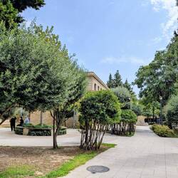 Baku Old Town - shady olive gardens tucked beside centuries-old residential quarters
