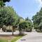 Baku Old Town - shady olive gardens tucked beside centuries-old residential quarters