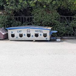 And one of the many "cat hotels" providing food and shelter for the city’s beloved felines
