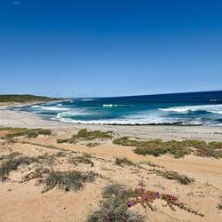 Bowes River Mouth