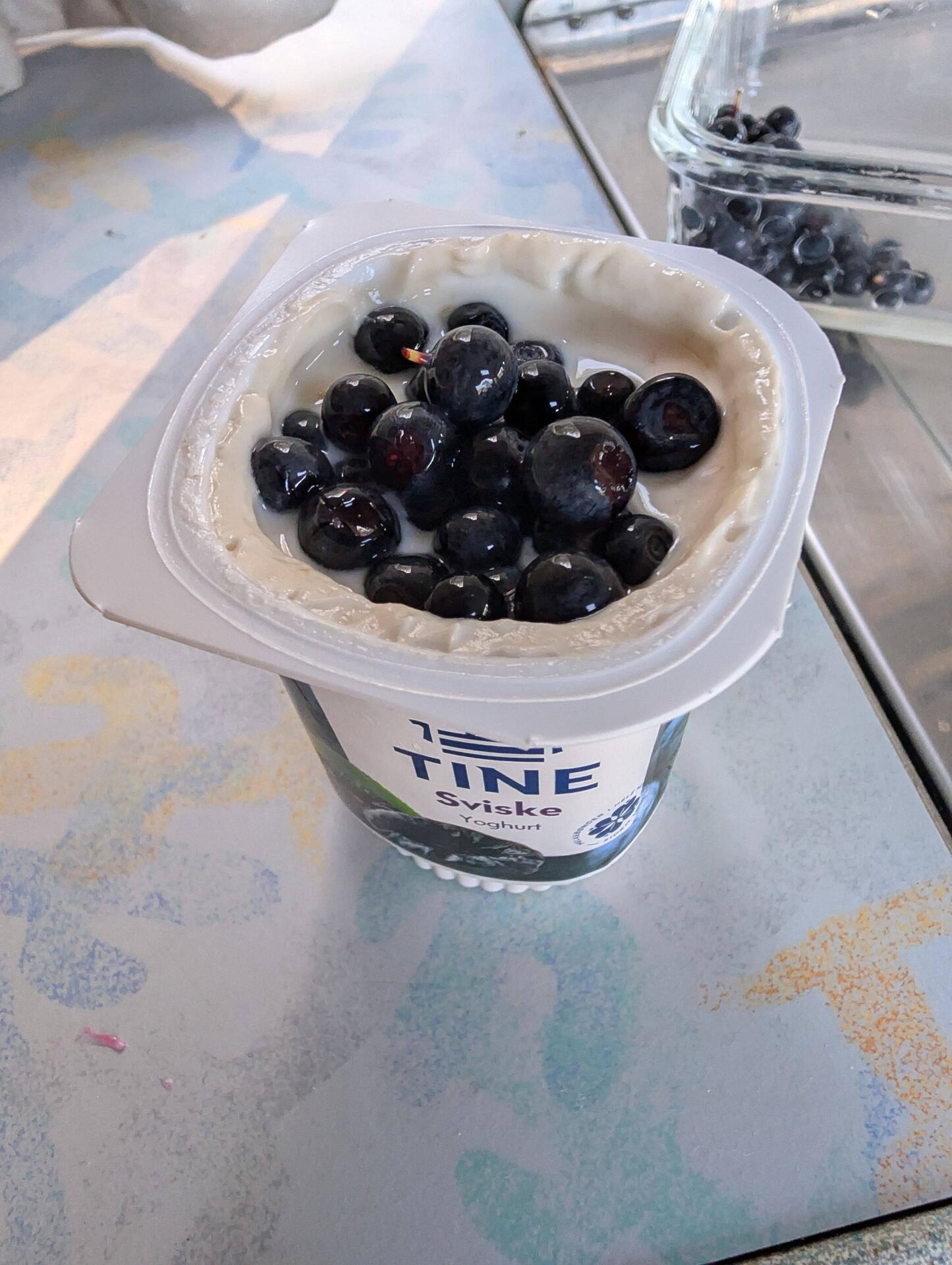 Am Vorabend gesammelte Heidelbeeren