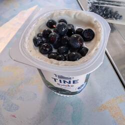 Am Vorabend gesammelte Heidelbeeren