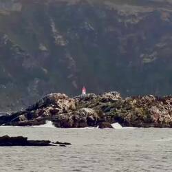 Birds of a feather flock to a rock as we depart Havøysund.