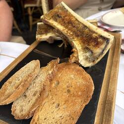 Bone Marrow