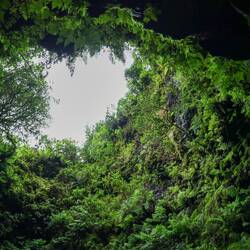 Algar do Carvão