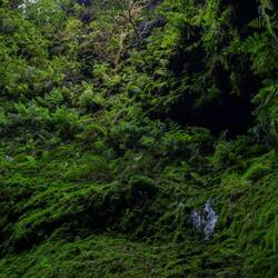 Algar do Carvão
