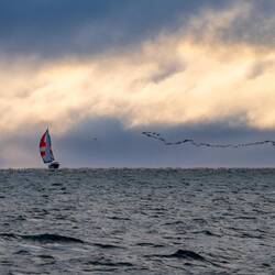 Everybody is going south, Vanuily, migratory birds and us!