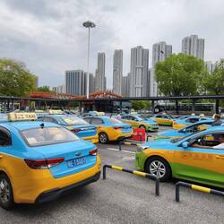 Bunte Vielfalt der Taxen