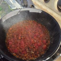 Bolognese Ansatz