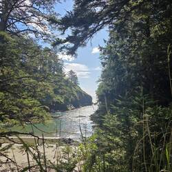 Deadman's Cove