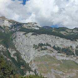 Aussicht von unterwegs - Grüezi Schweiz! 🤗🇨🇭