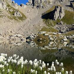 Am lac de Presset