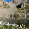 Am lac de Presset