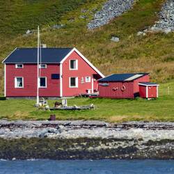 Looks like there's a young reindeer in front of the house ... on our approach to Honningsvåg.