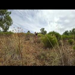 Vidéo-diaporama traversée de la "jungle", aussi touffue qu'escarpée, sur quelques km