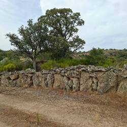Murs caractéristiques de la région, juste magnifiques et impressionnants