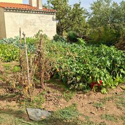 Toutes les petites maisons ont leur superbe jardin