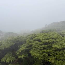 Serra de Santa Bárbara
