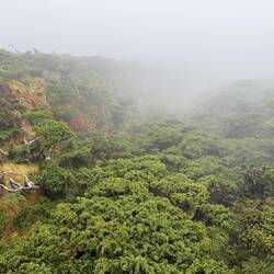 Serra de Santa Bárbara