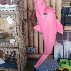 Oben auf der unerschöpflichen Hostal- Dachterrasse: die Fische leben!