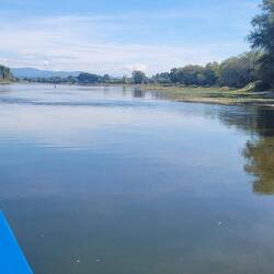 Fähre über die Donau
